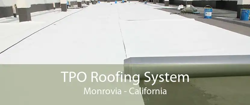 TPO Roofing System Monrovia - California